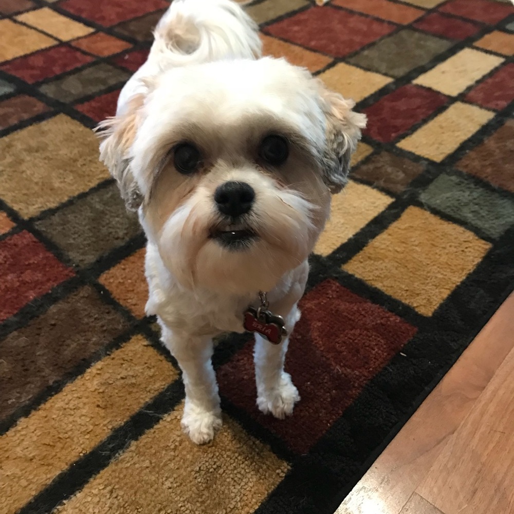 Meet your Posher, Angie